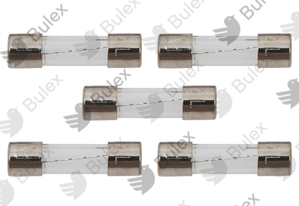 Fusible pour chaudière, Bulex, 2 A, lot de 5, réf. 05651700