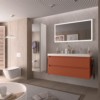 Visuel 8